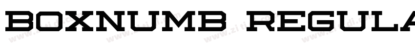 BOXNUMB Regular字体转换 BOXNUMB Regular字体转换